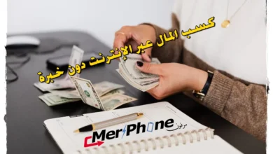 كسب المال عبر الإنترنت دون خبرة