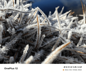 OnePlus 12 يكشف الستار عن نظام كاميرا مثير للإعجاب قبل الإطلاق 