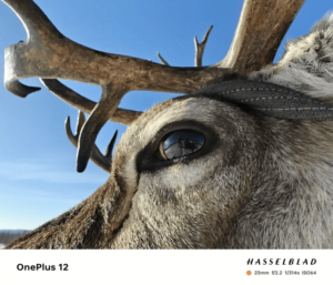 OnePlus 12 يكشف الستار عن نظام كاميرا مثير للإعجاب قبل الإطلاق 