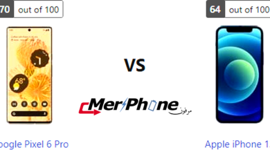 دليل المستهلك العلمي: Google Pixel 6 Pro أو Apple iPhone 12؟