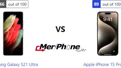 صورة توضح التفاصيل الدقيقة في الصور لـ Samsung Galaxy S21 Ultra و Apple iPhone 15 Pro Max