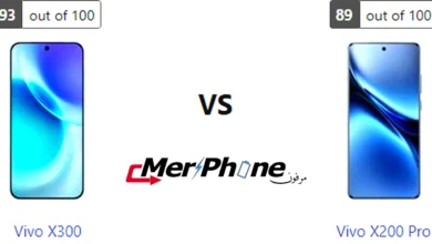 صورة توضح الثيمات المتاحة لـ Vivo X300 و Vivo X200 Pro