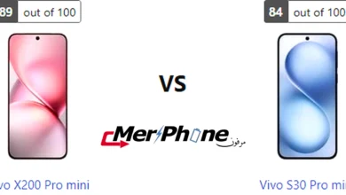 صورة توضح بصمات الأصابع على ظهر Vivo X200 Pro mini و Vivo S30 Pro mini