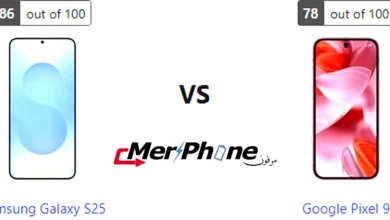 صورة توضح الثيمات المتاحة لـ Samsung Galaxy S25 و Google Pixel 9